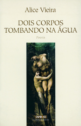 capa livro